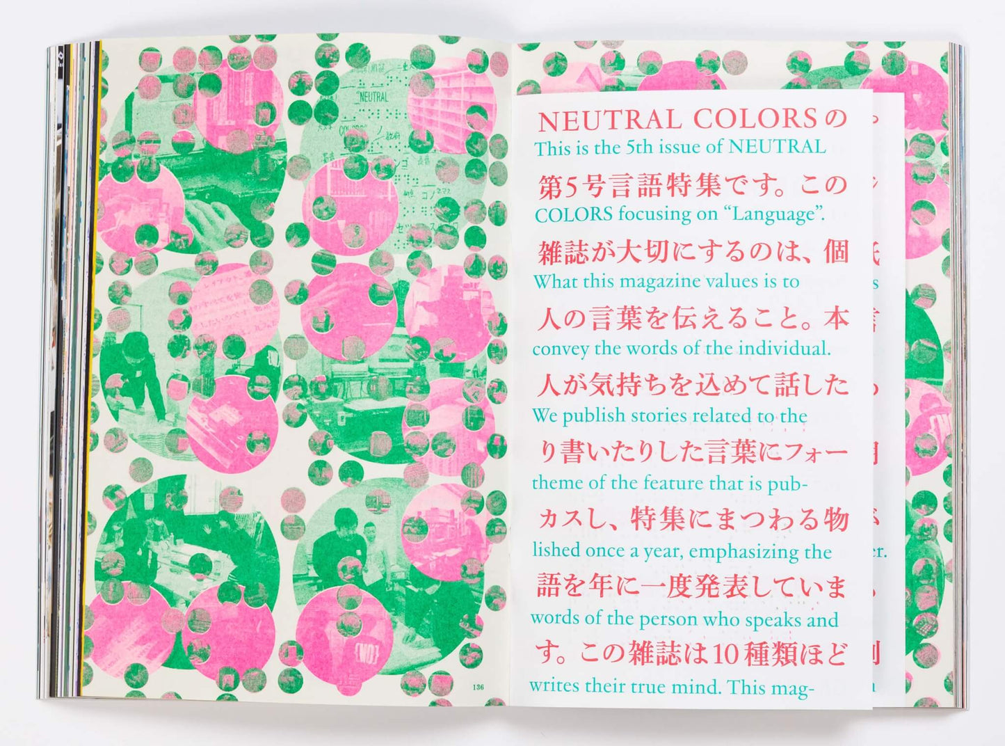 NEUTRAL COLORS 5