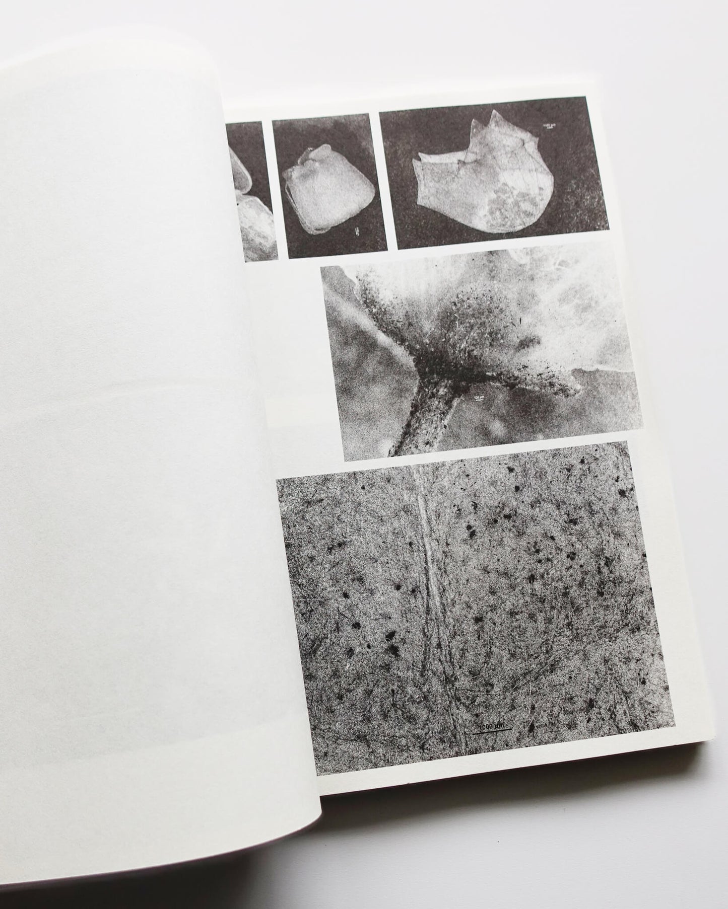 Microscopic Images