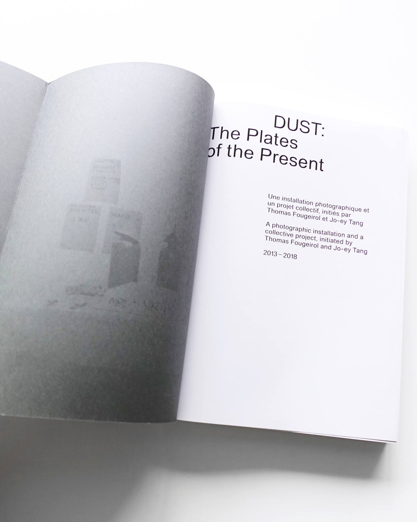 Dust: The Plates of the Present
