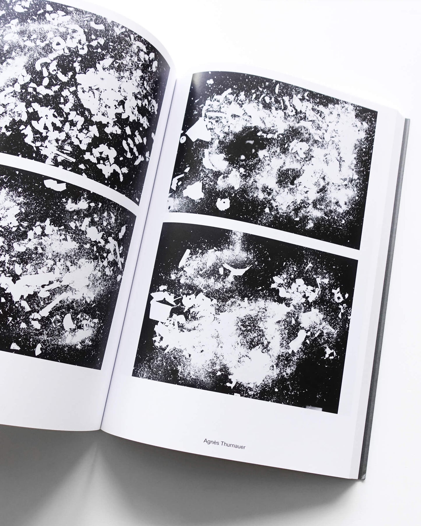 Dust: The Plates of the Present
