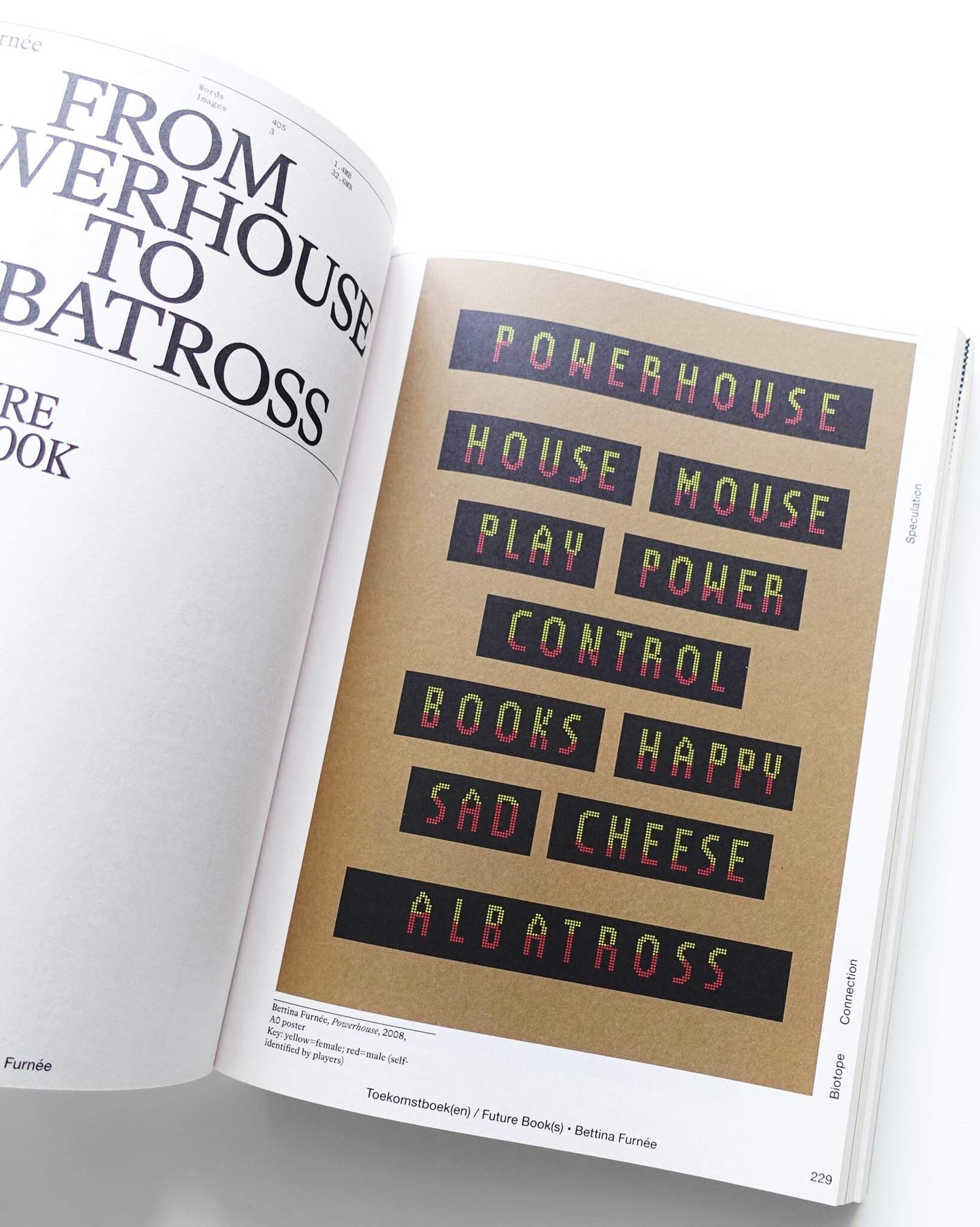 Future Book(s)