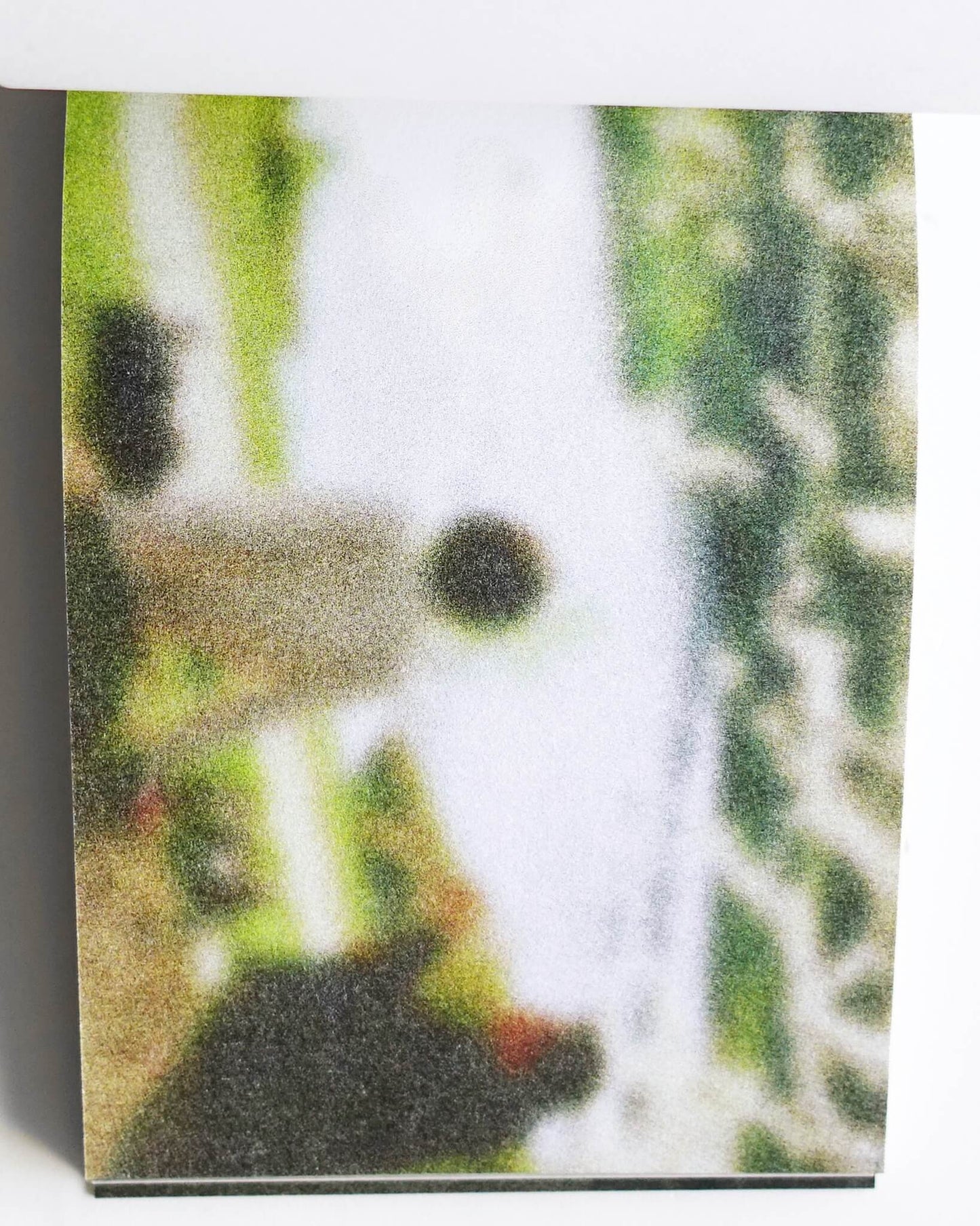 Blurred Echoes