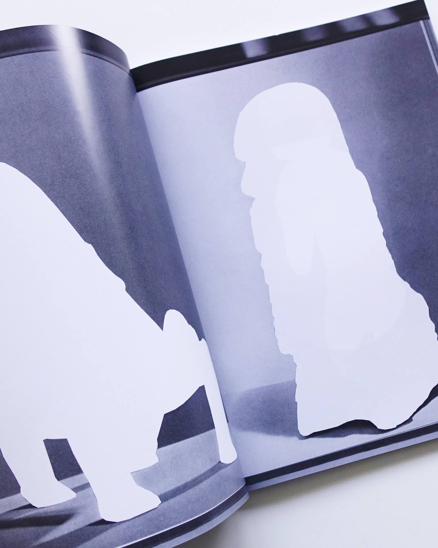 Catalogue of Stolen Objects, Courtesy of