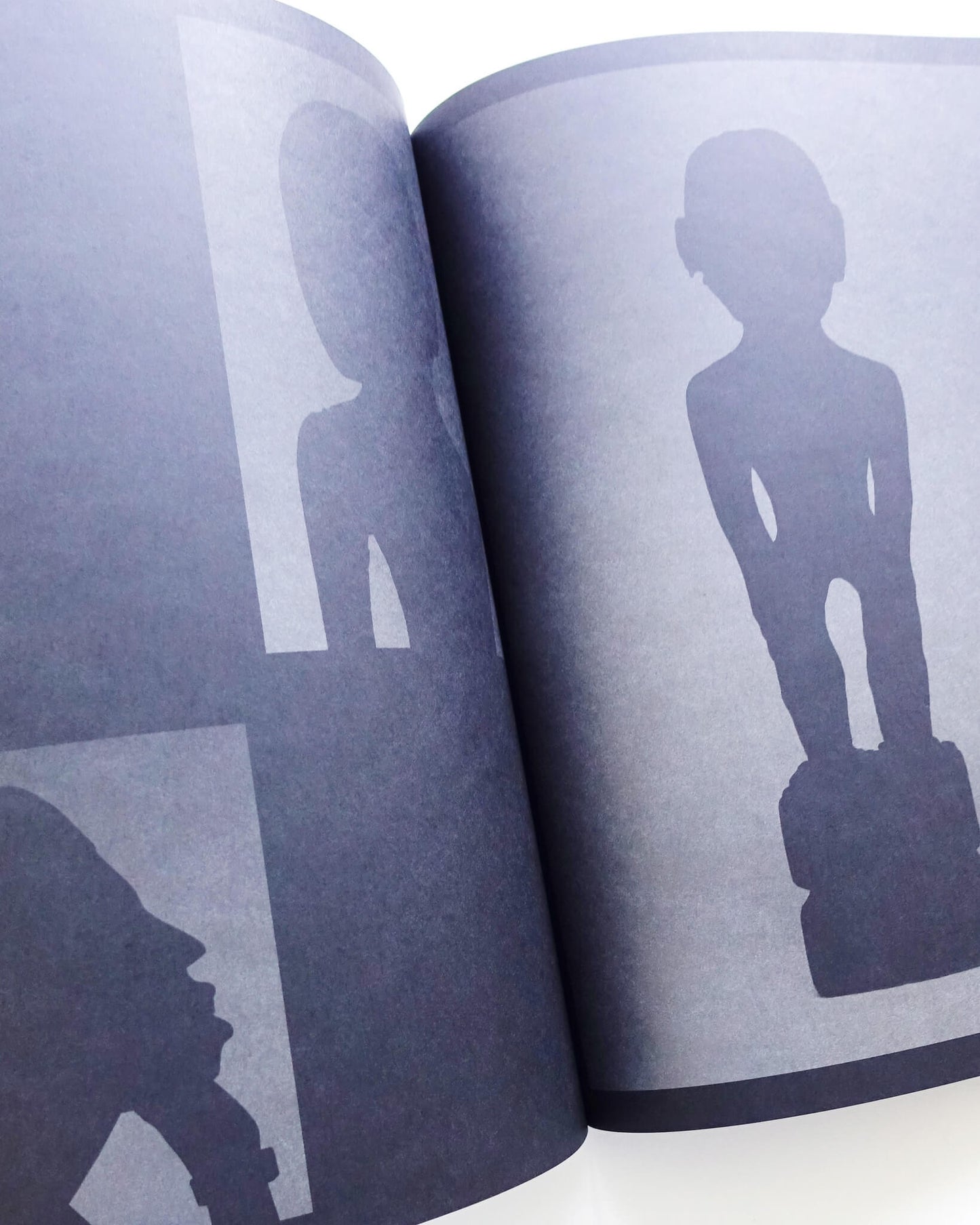 Catalogue of Stolen Objects, Courtesy of