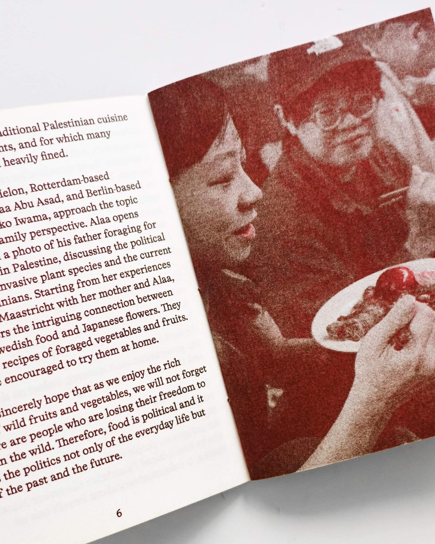 On Foraging in Palestine,
Japan & Maastricht