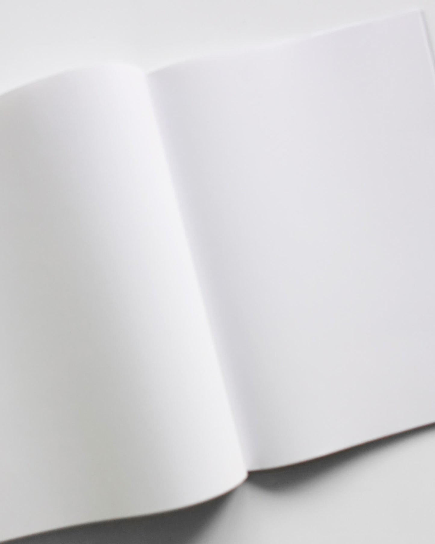 Catchword
12 Colors Manifesto
