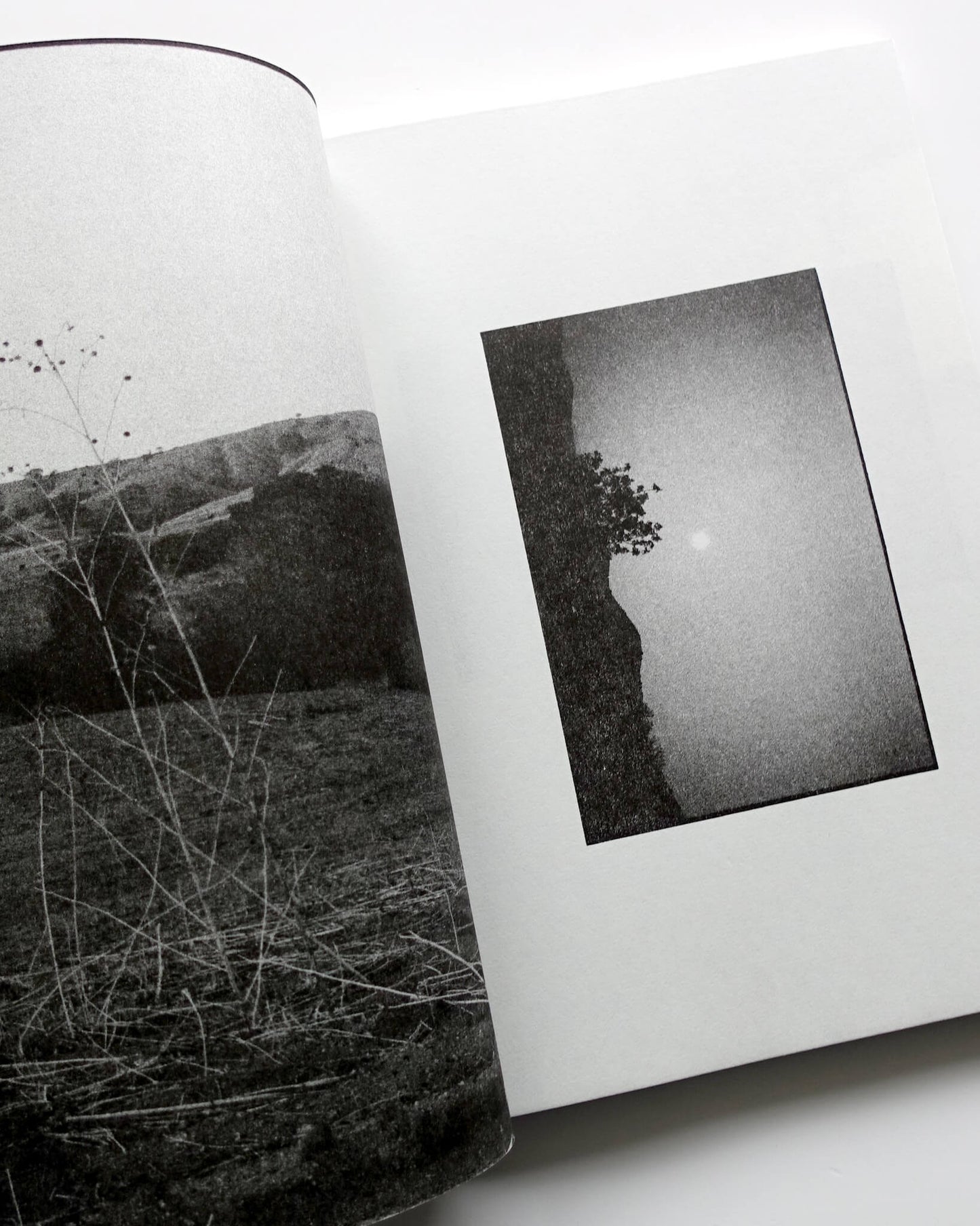 Paradise Lost 004