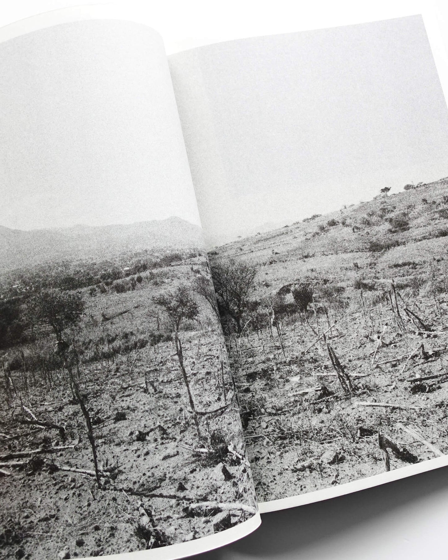 Paradise Lost 004