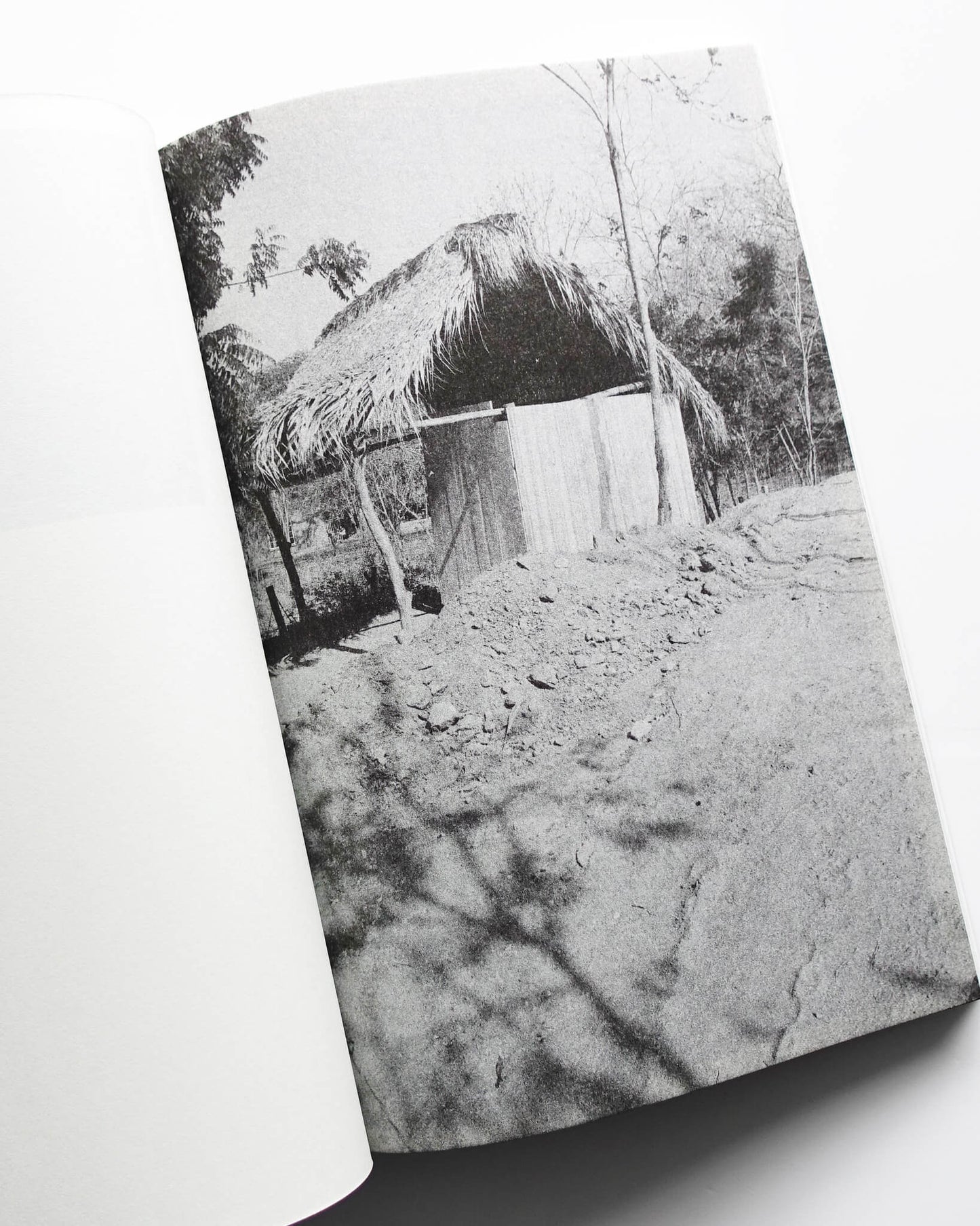 Paradise Lost 004