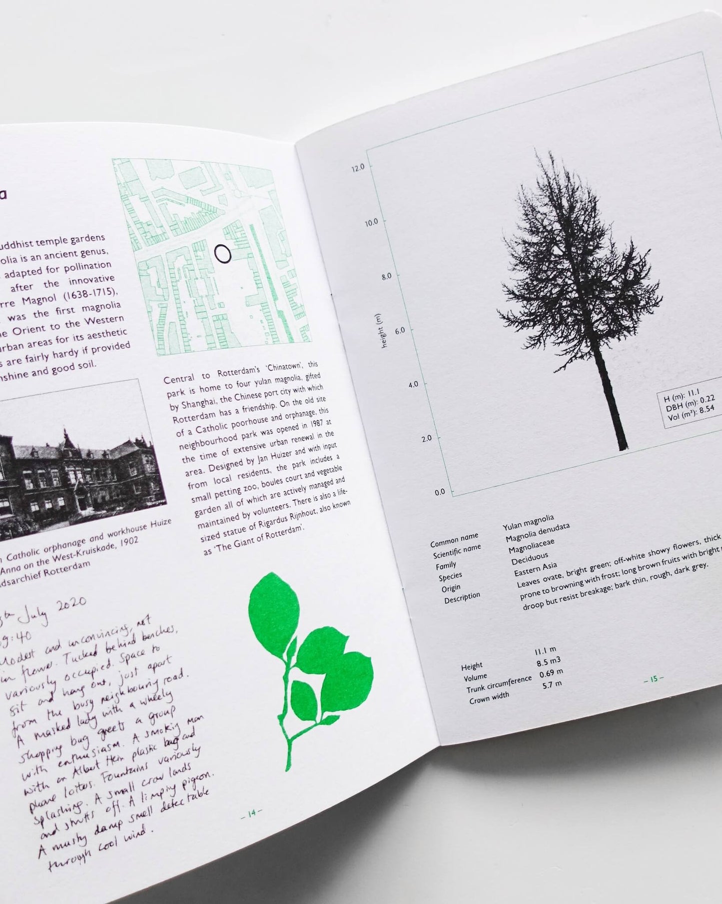 Fourteen Tree in Rotterdam