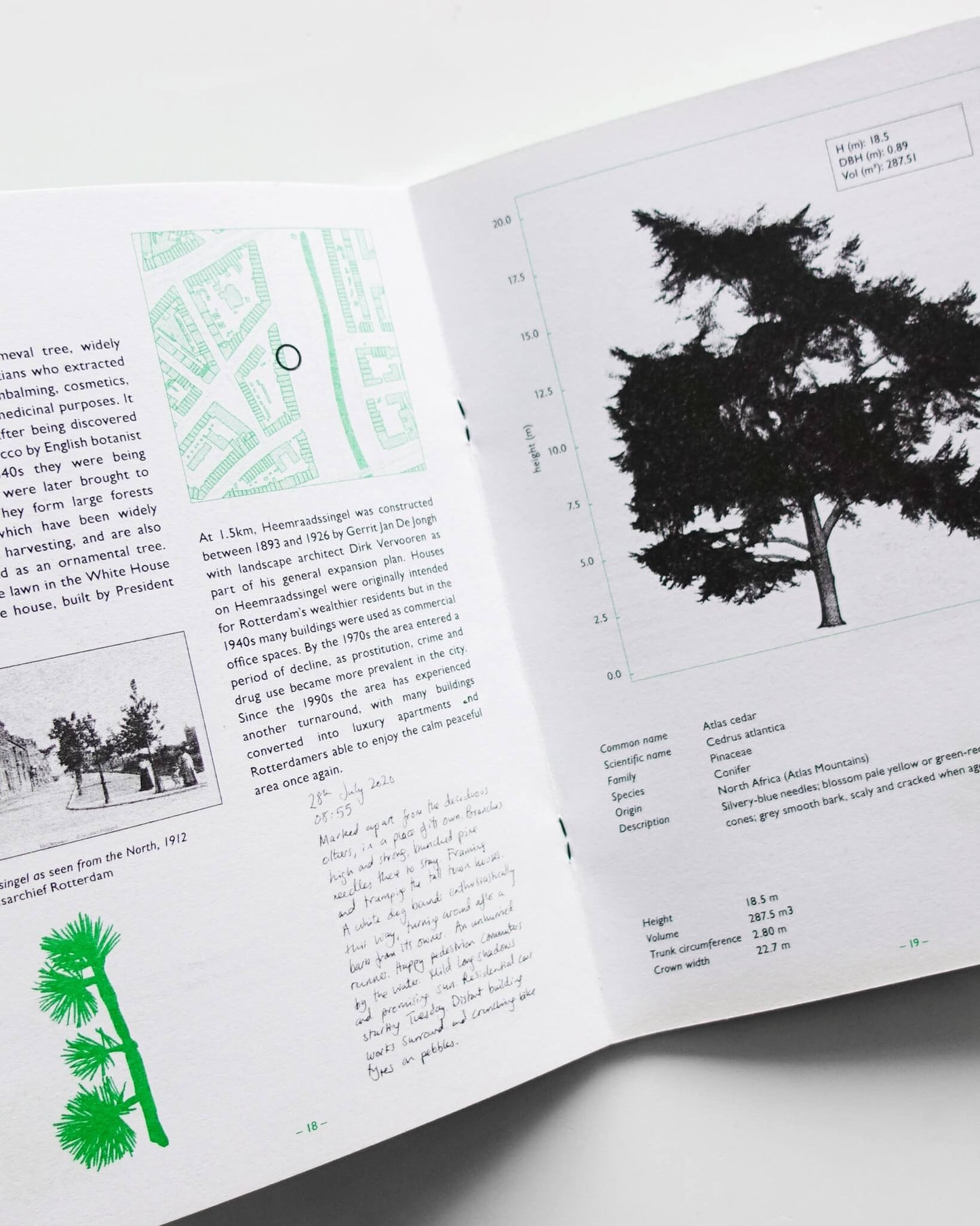 Fourteen Tree in Rotterdam