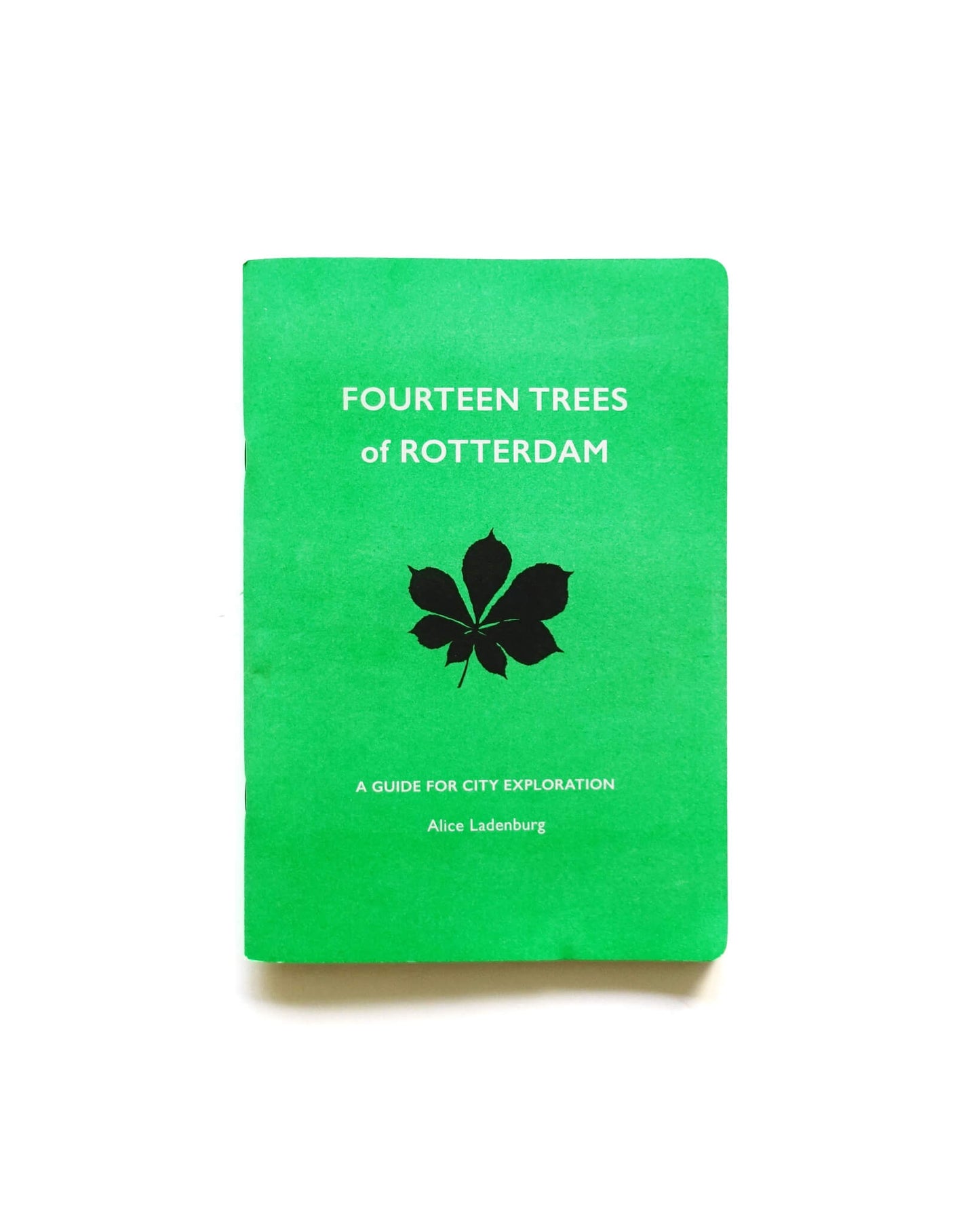 Fourteen Tree in Rotterdam