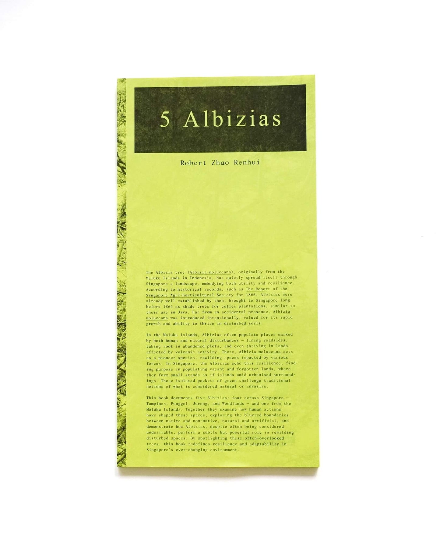5 Albizias