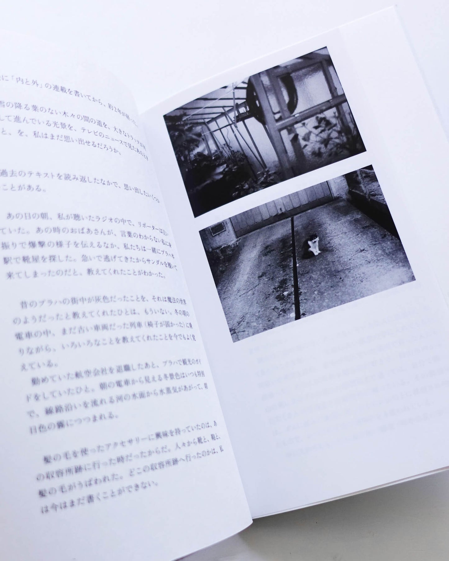 oar review #3「内と外」