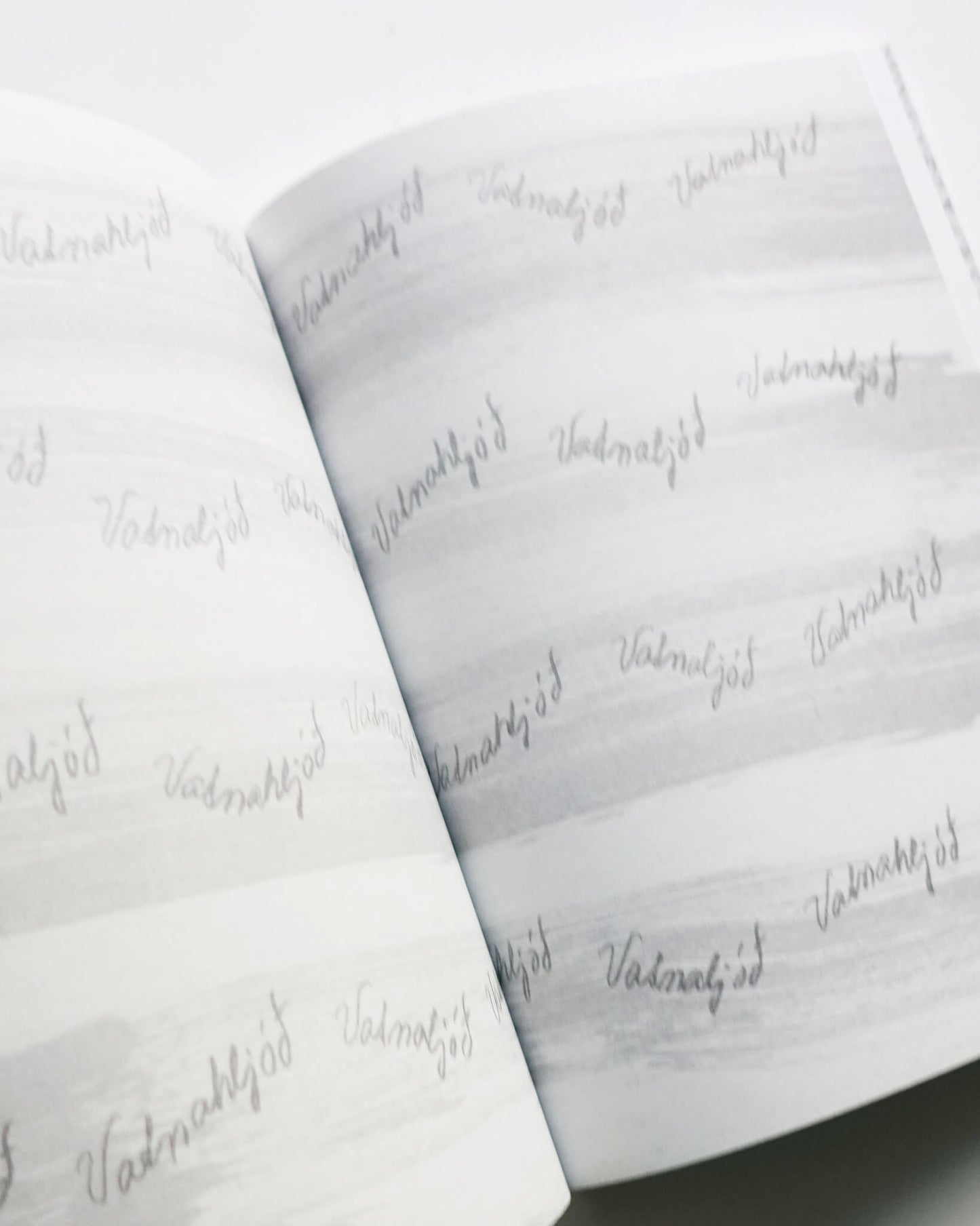In the Wake of Blind Navigation Boekie Woekie - Books by Artists