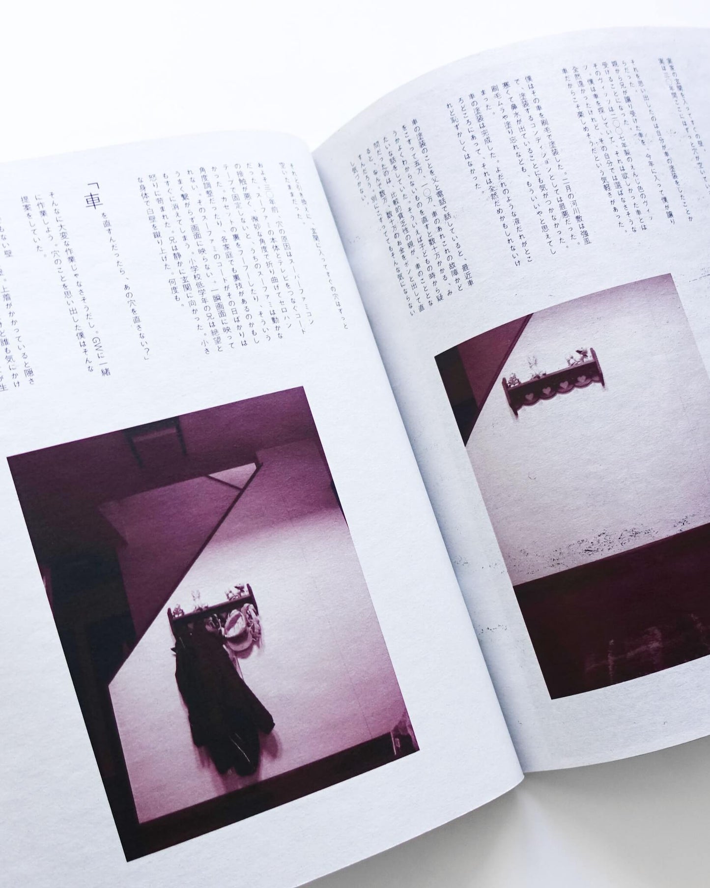 (maga)zine 雑想 DIY実践思想録 1