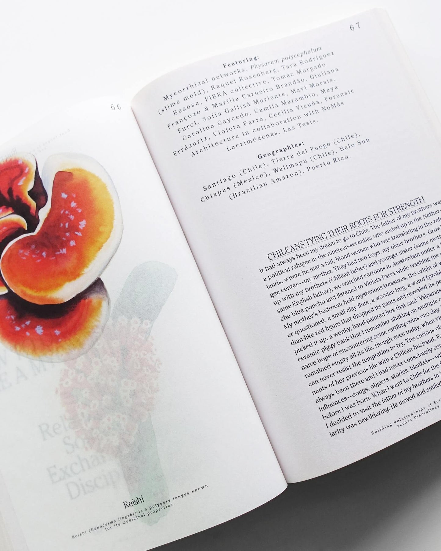 Let’s Become Fungal!