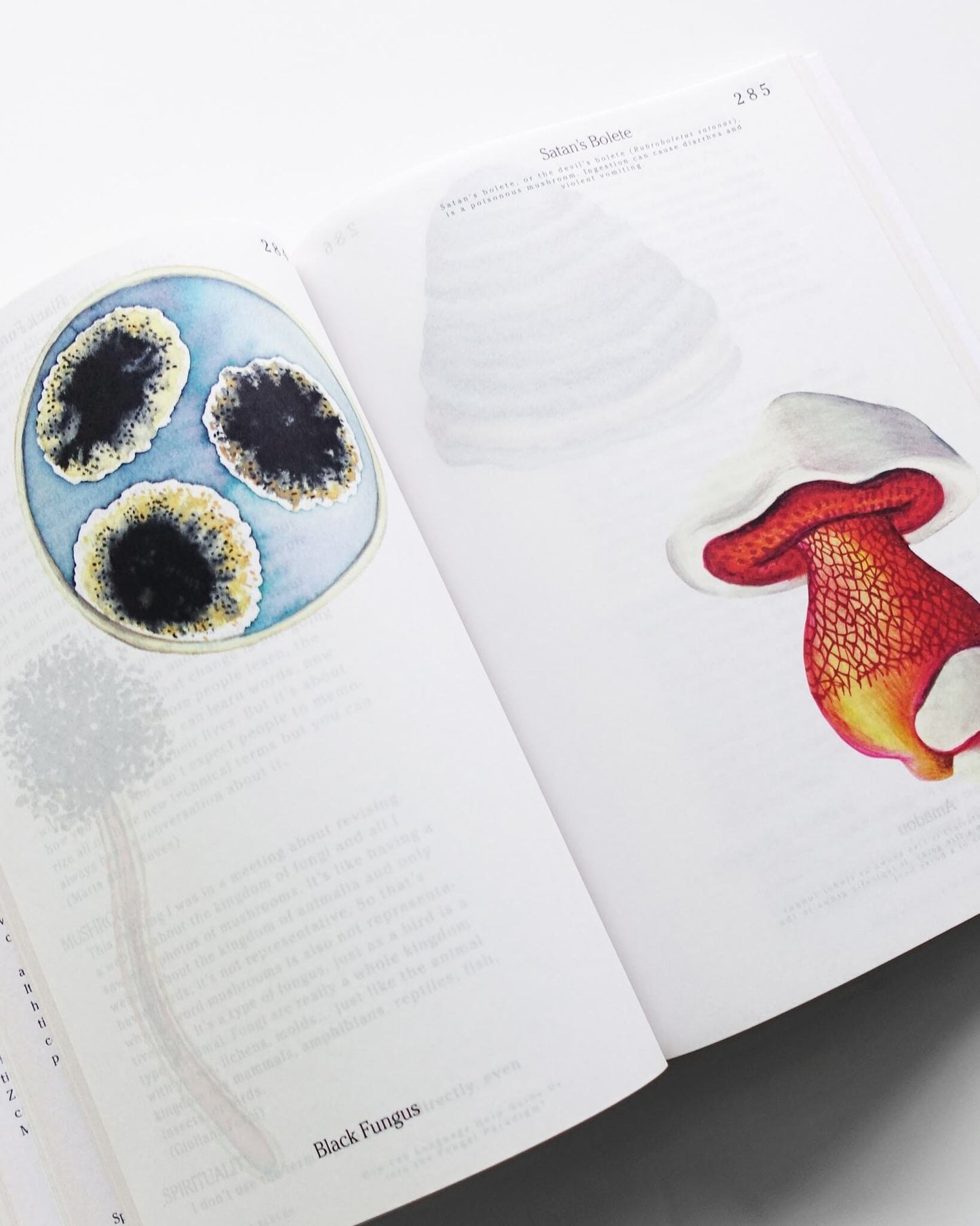 Let’s Become Fungal!