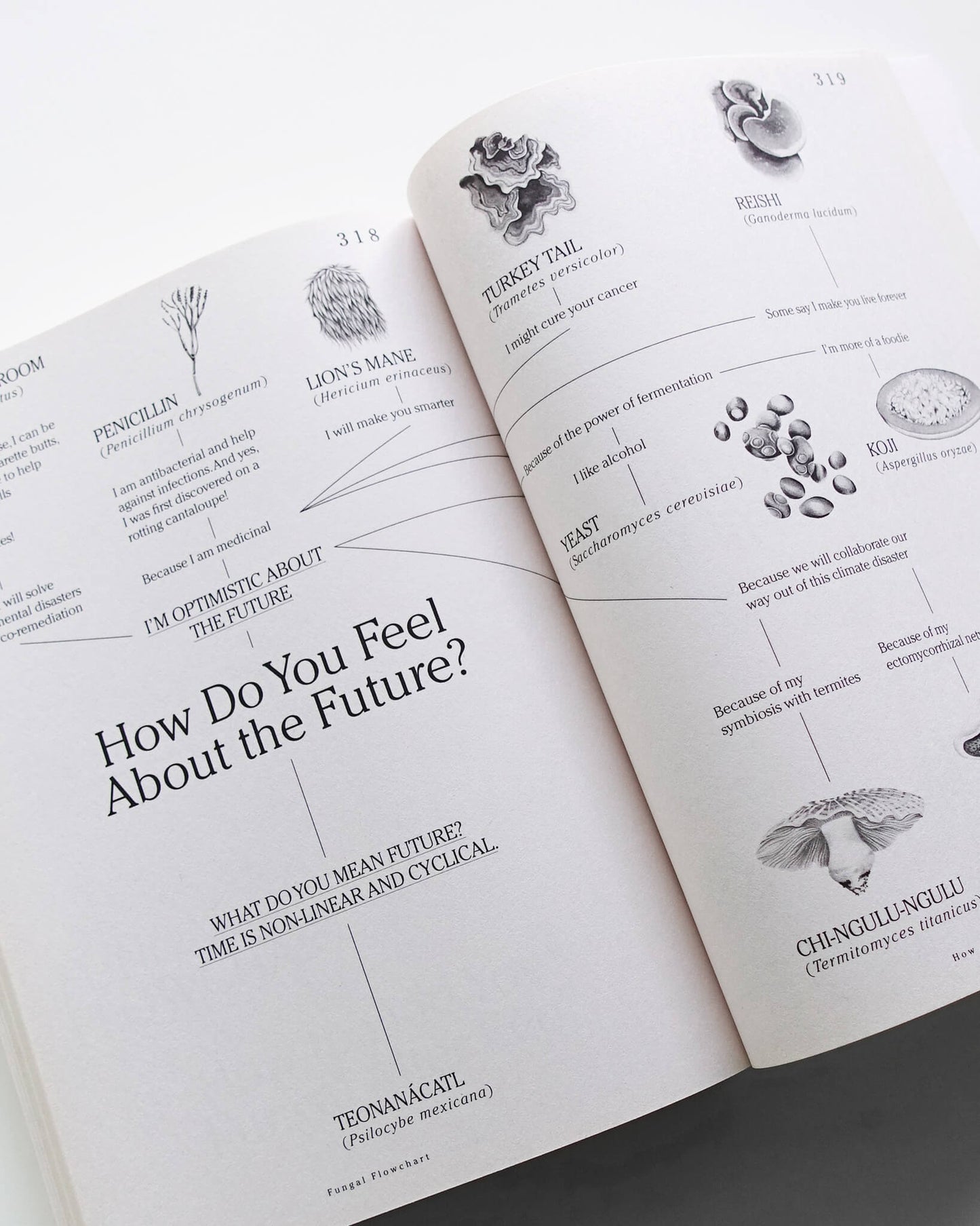 Let’s Become Fungal!