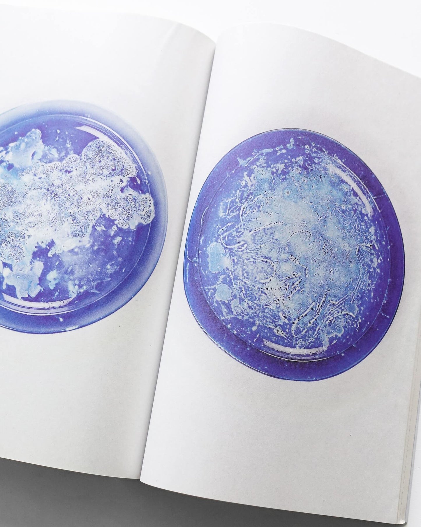 Atlas of Aspect Change