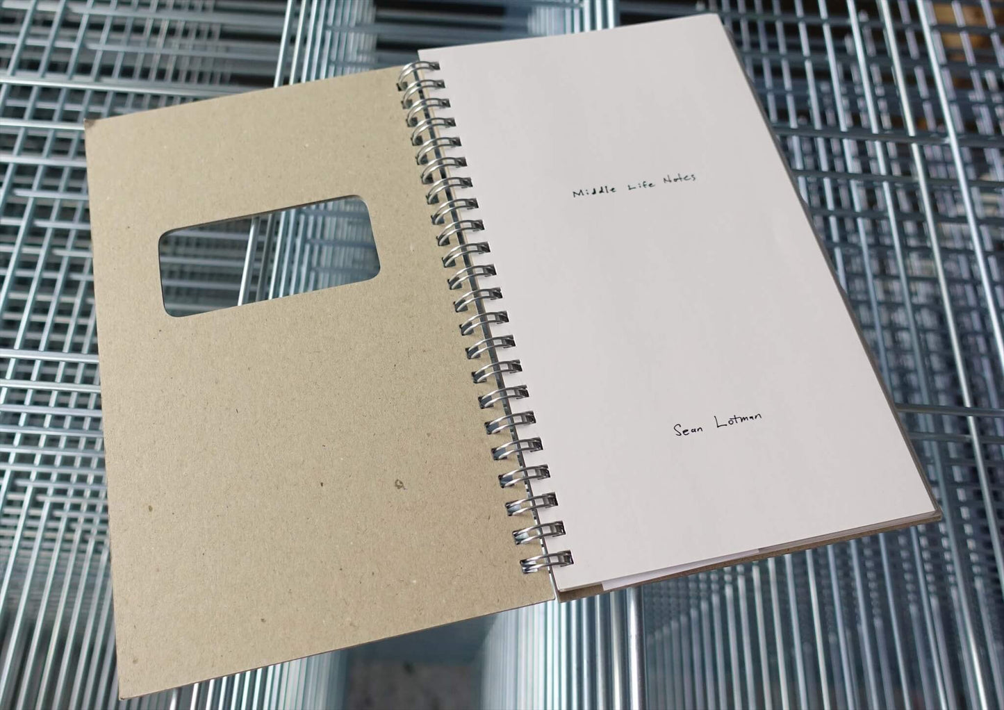 Middle Life Notes