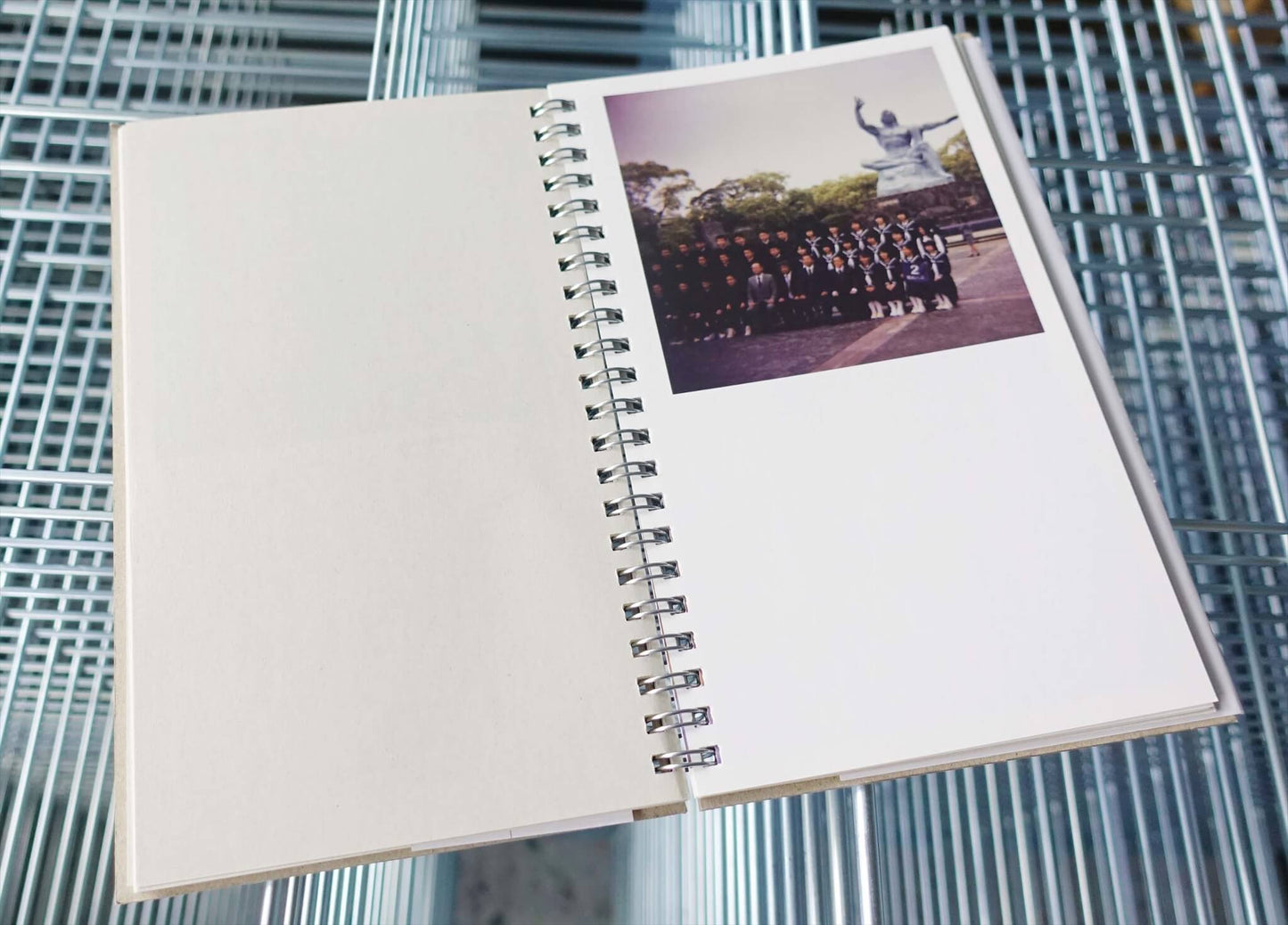 Middle Life Notes
