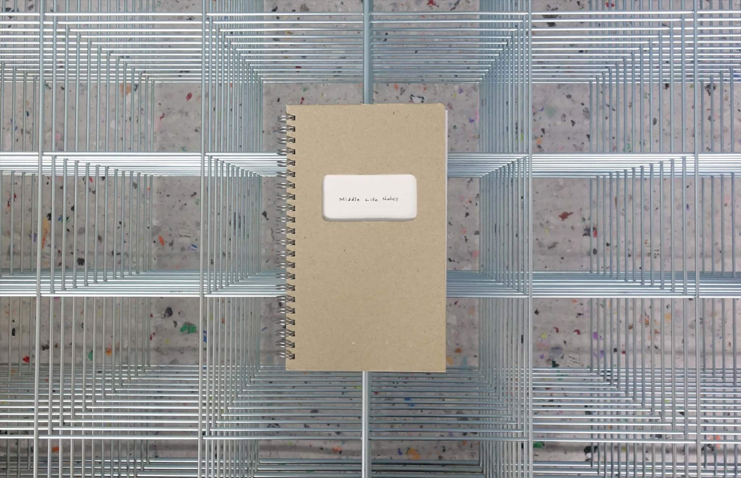 Middle Life Notes