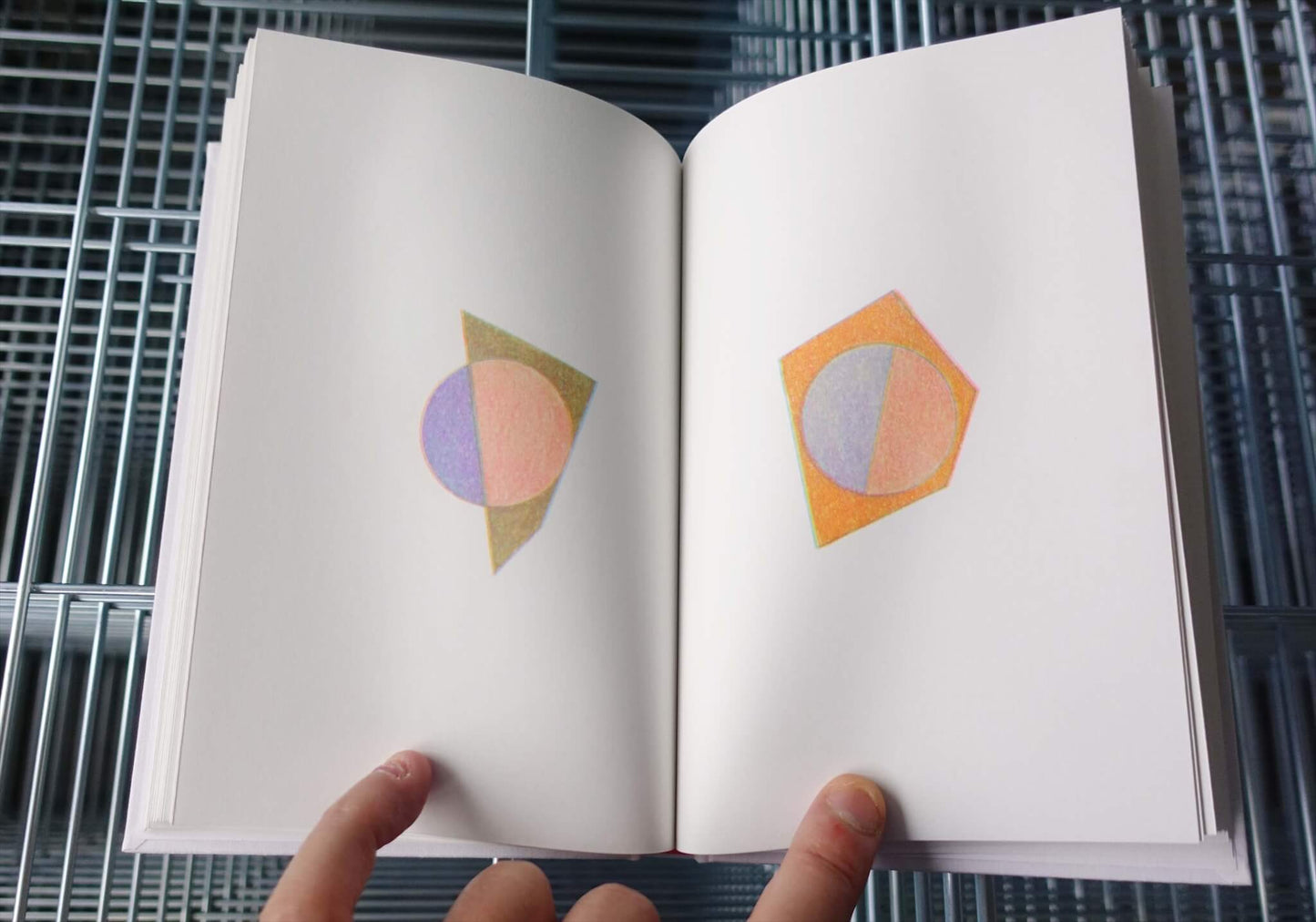 The Shapes of the Heart