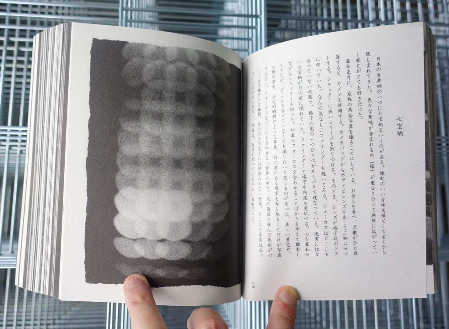 導光 ー花は盛りにー