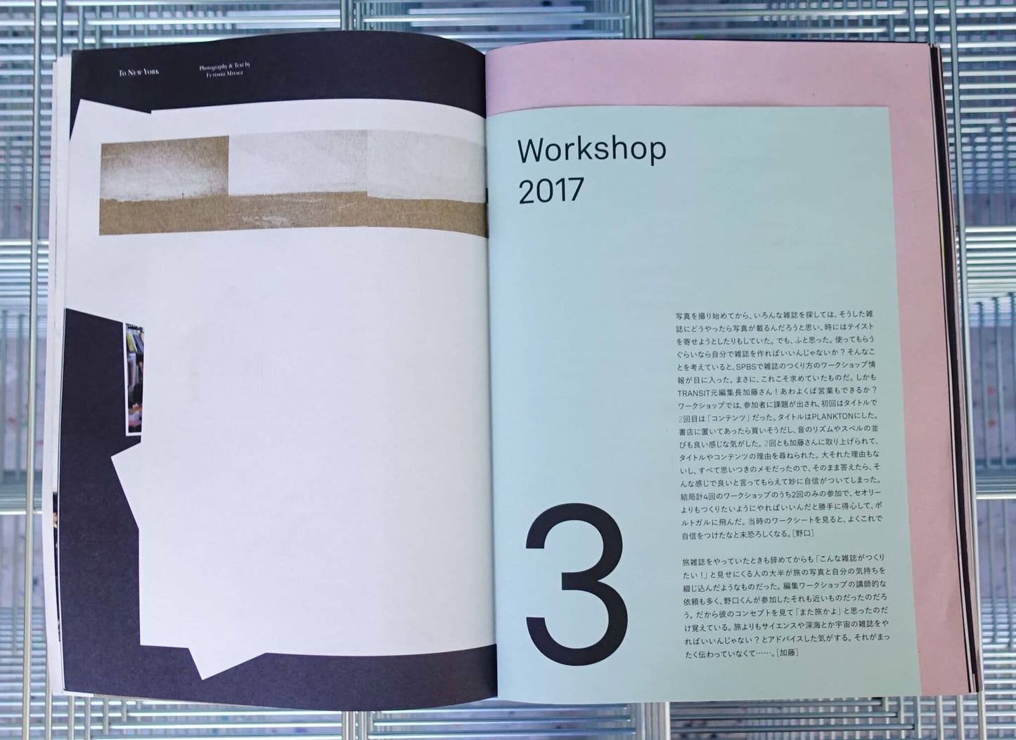 NEUTRAL COLORS Pirated Edition The Magazine that Takes Over Magazines