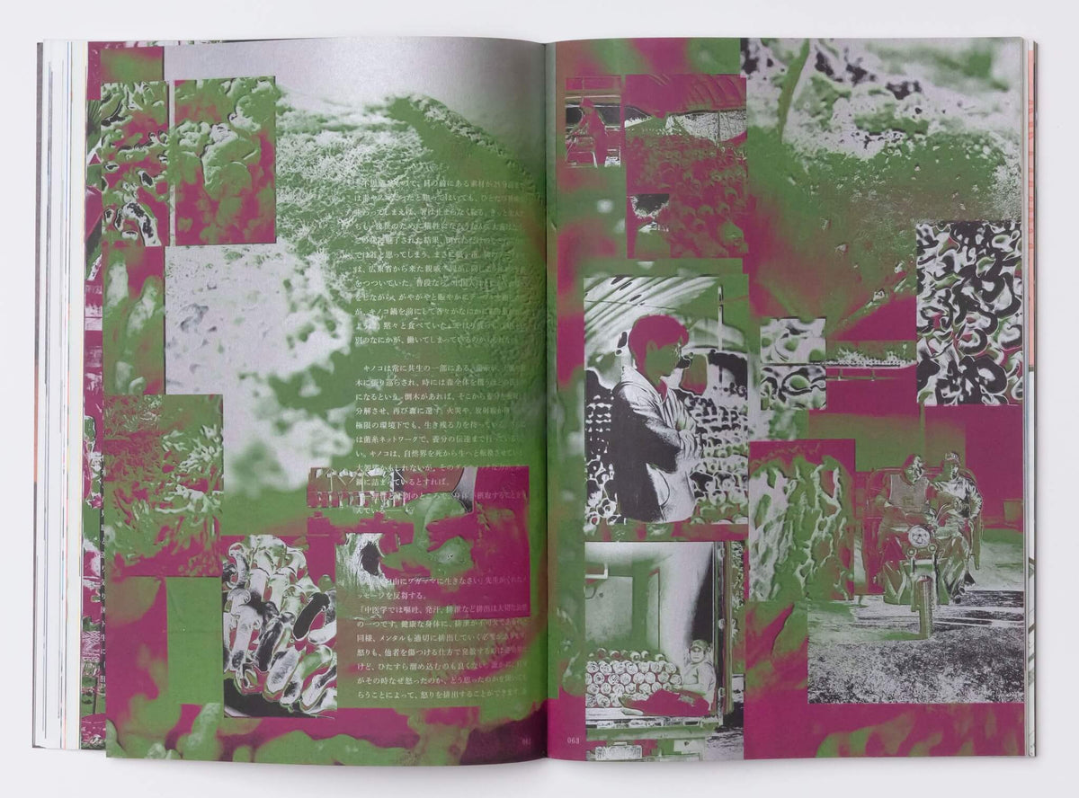 NEUTRAL COLORS 7