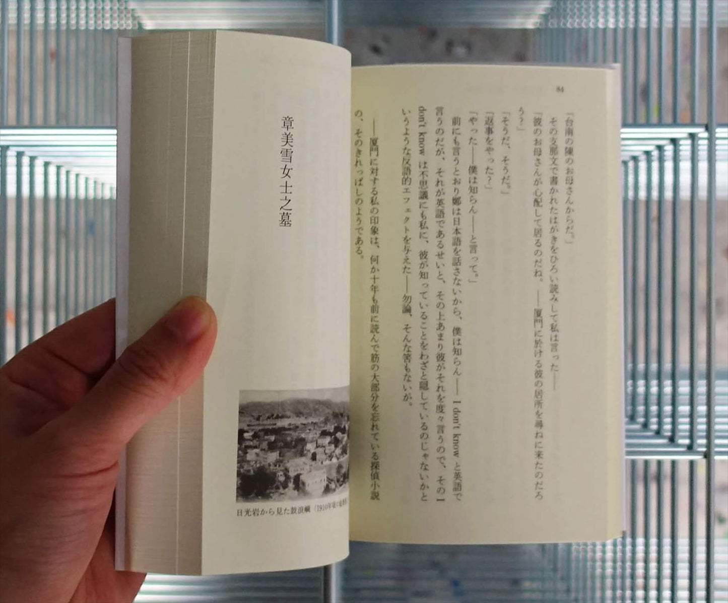 佐藤春夫中国見聞録 星／南方紀行