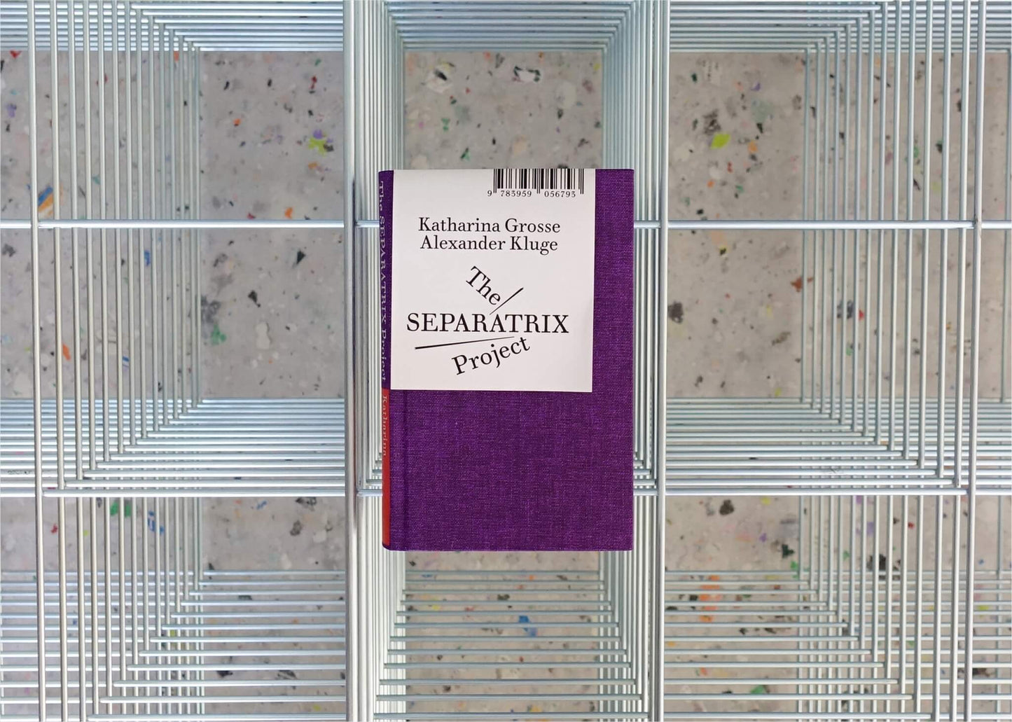 THE SEPARATRIX PROJECT