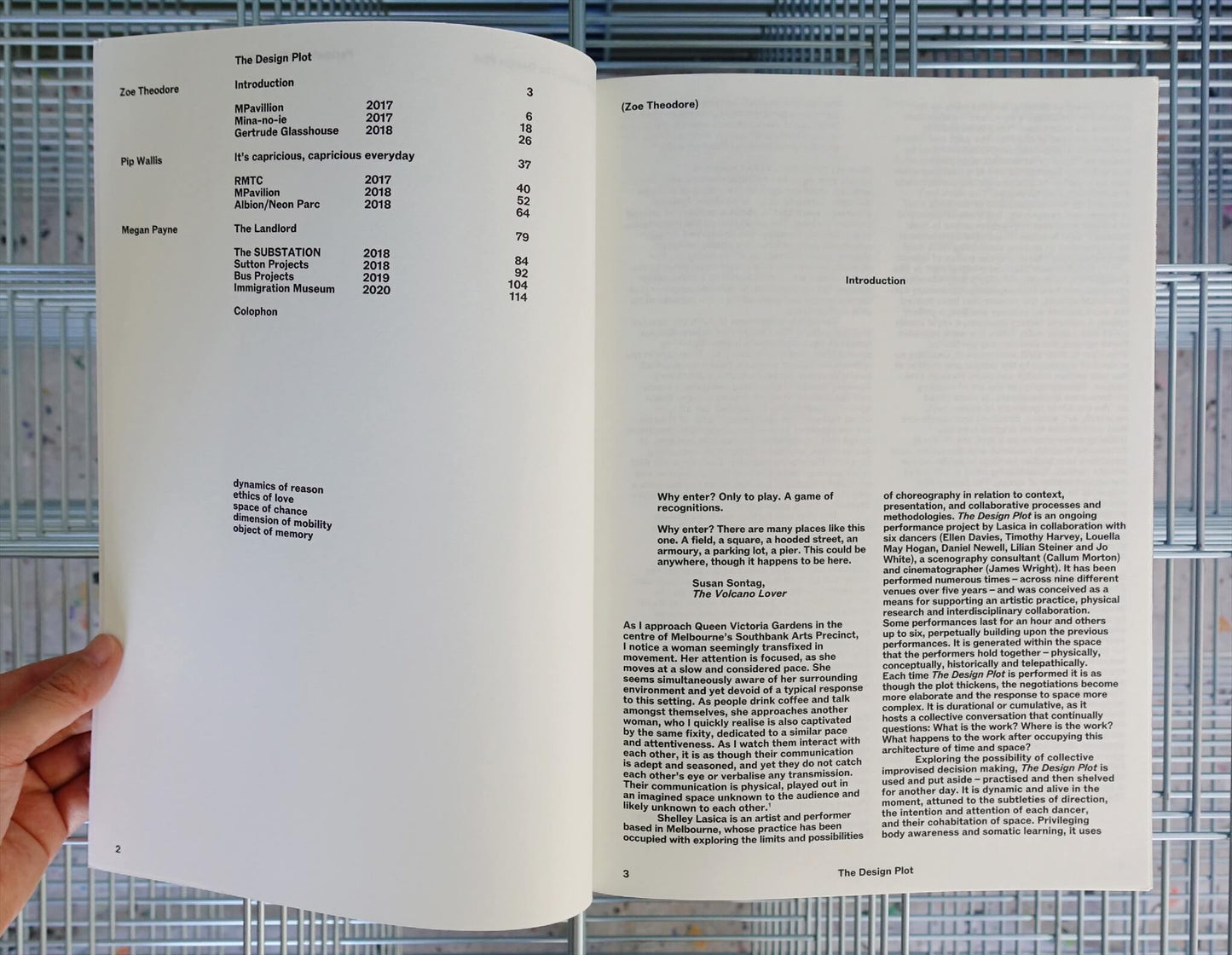 Shelley Lasica, The Design Plot