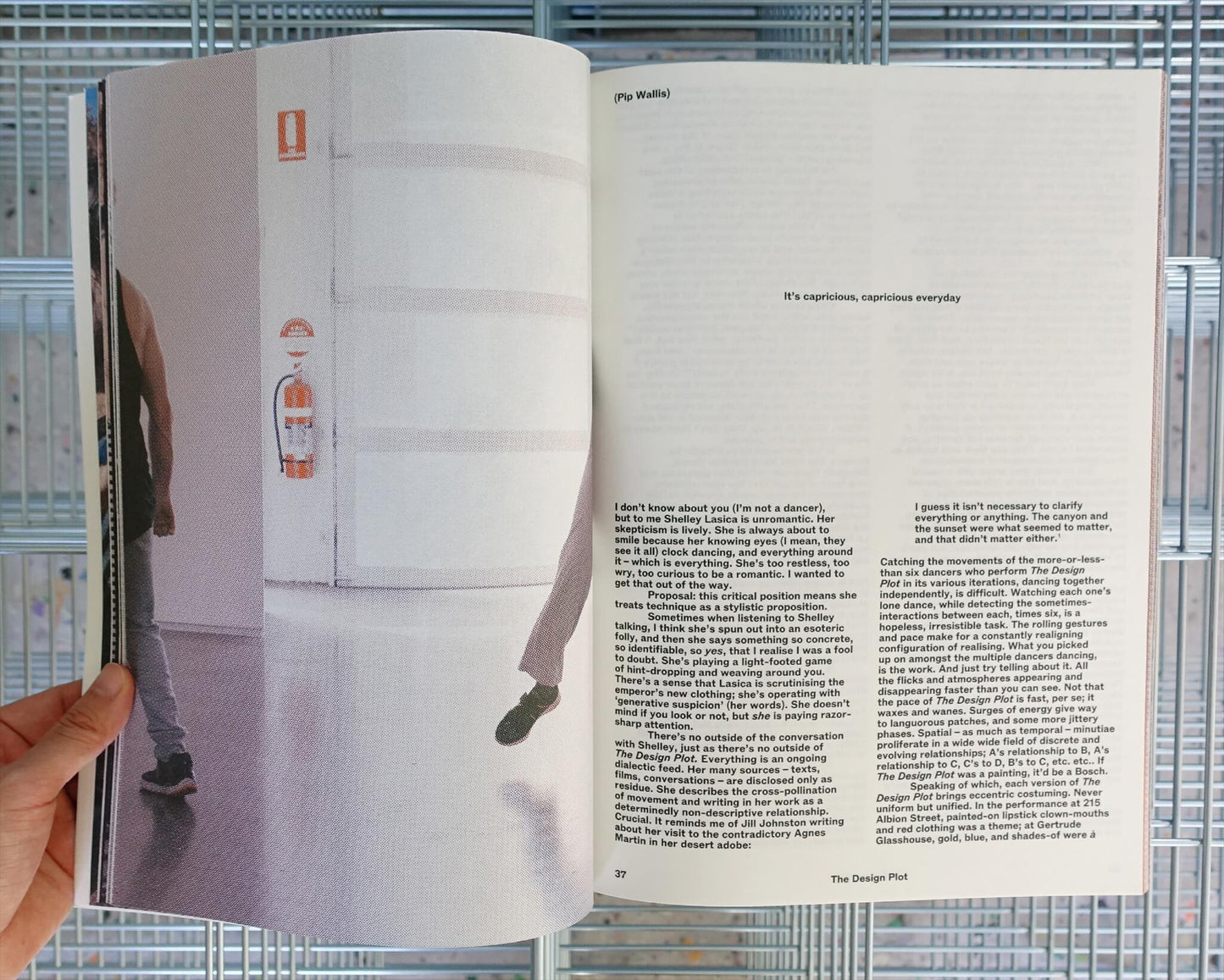 Shelley Lasica, The Design Plot