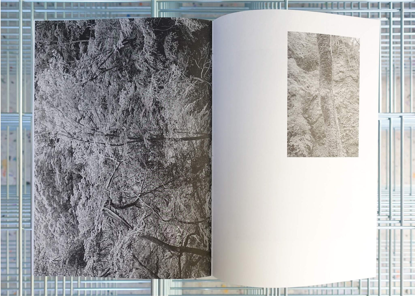 PARADISE LOST: YORO 001-003