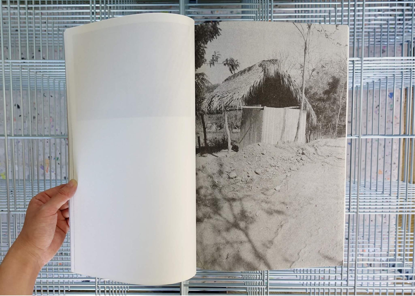 PARADISE LOST 004