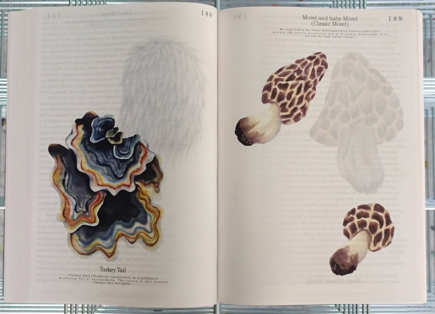 Let's Become Fungal!: