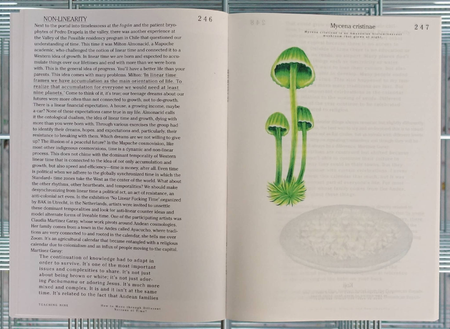 Let's Become Fungal!: