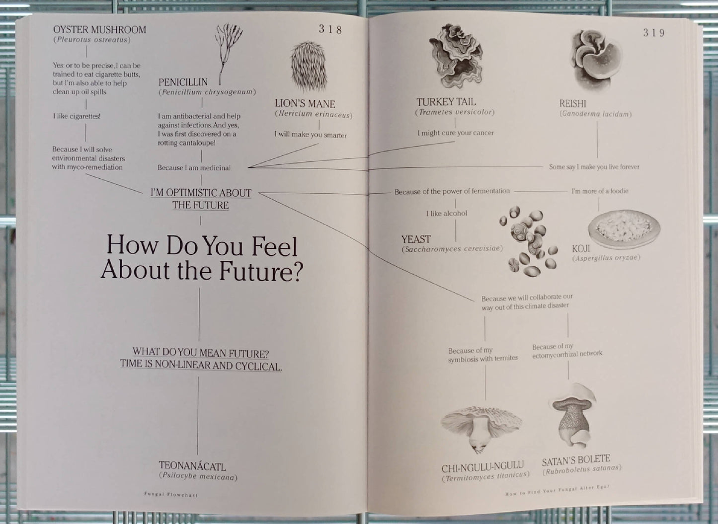 Let's Become Fungal!:
