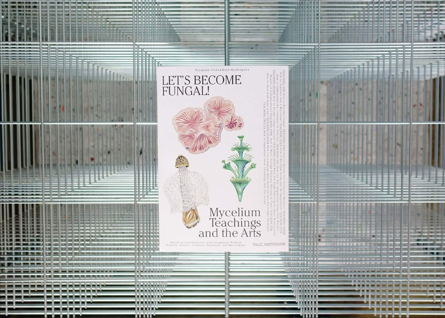 Let's Become Fungal!: